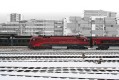 62366 Roco Electric locomotive Rh 1116 in RAILJET livery &quot;Spirit of Salzburg&quot; Digital with Sound